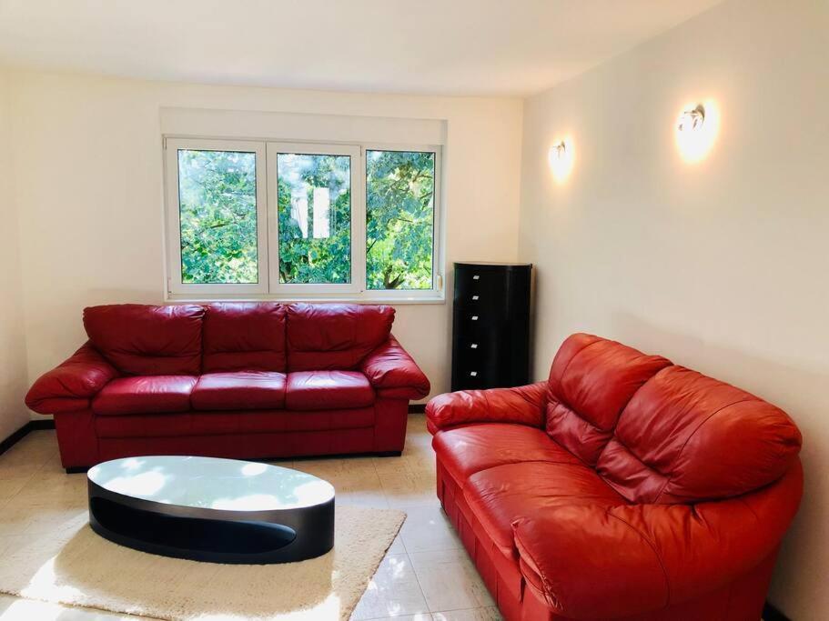 Joy George Enescu 12 Appartement